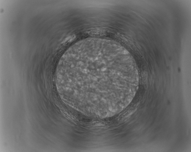 X0000072520913200608041528