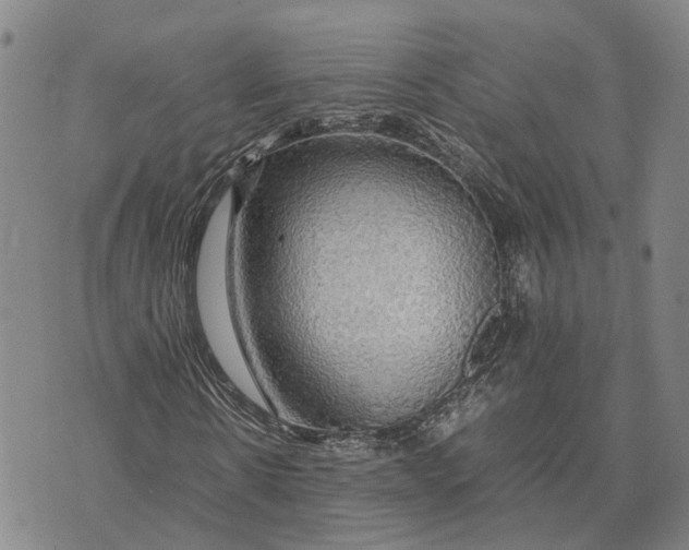 X0000072520914200608041528