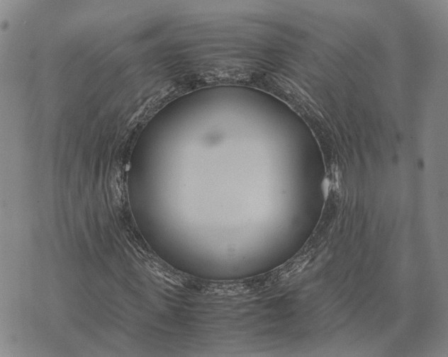 X0000072520915200608041528