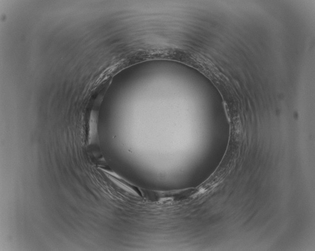 X0000072520916200608041528