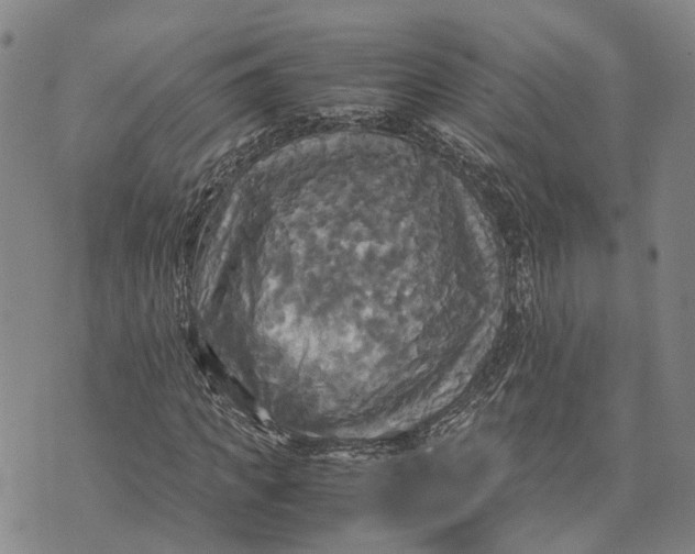 X0000072520917200608041528