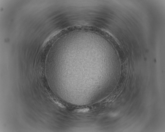 X0000072520919200608041528