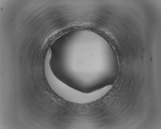 X0000072520920200608041528