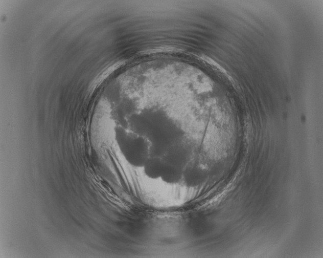 X0000072520921200608041528