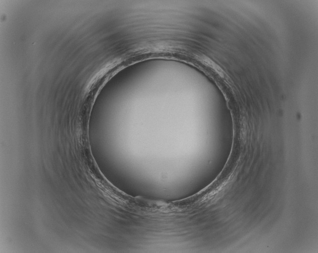 X0000072520922200608041528