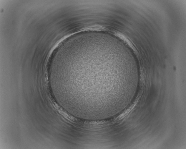 X0000072520923200608041528