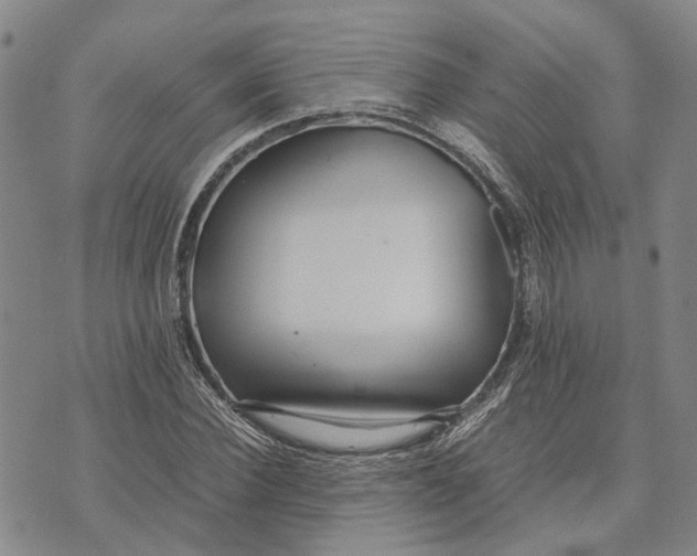 X0000072520924200608041528