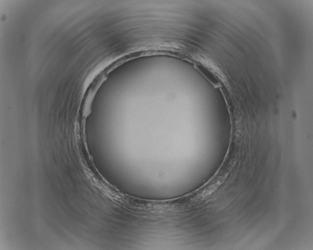 X0000072520928200608041528