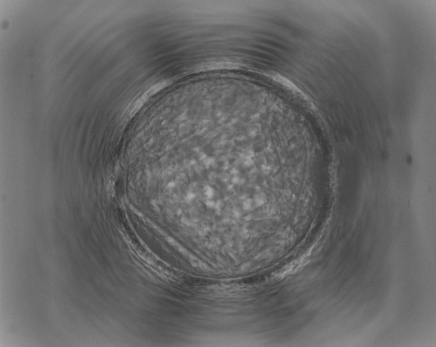 X0000072520929200608041528