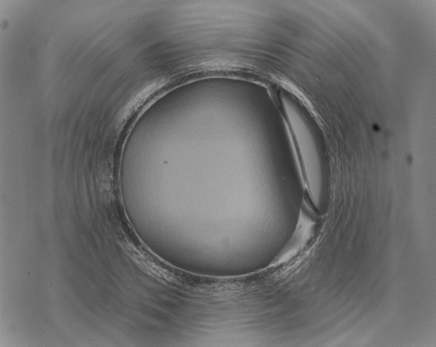 X0000072520930200608041528