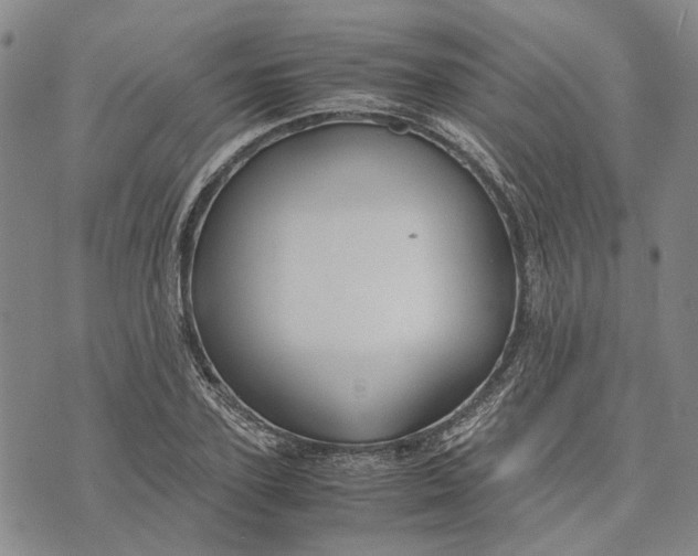 X0000072520931200608041528