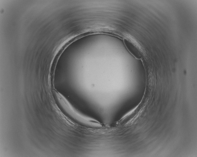 X0000072520932200608041528