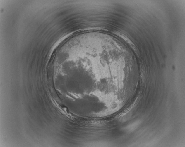 X0000072520933200608041528