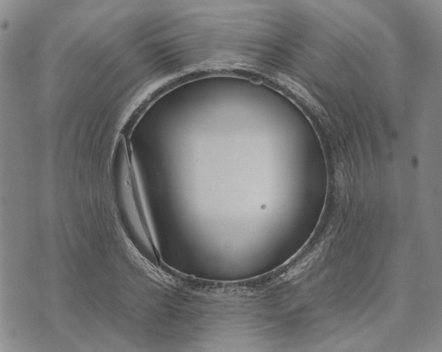 X0000072520934200608041528