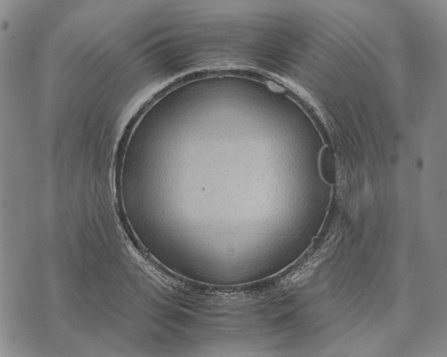 X0000072520935200608041528