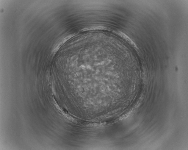 X0000072520937200608041528