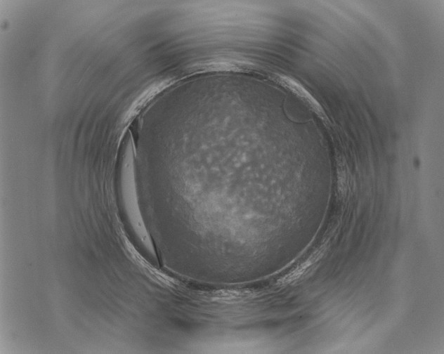 X0000072520938200608041528