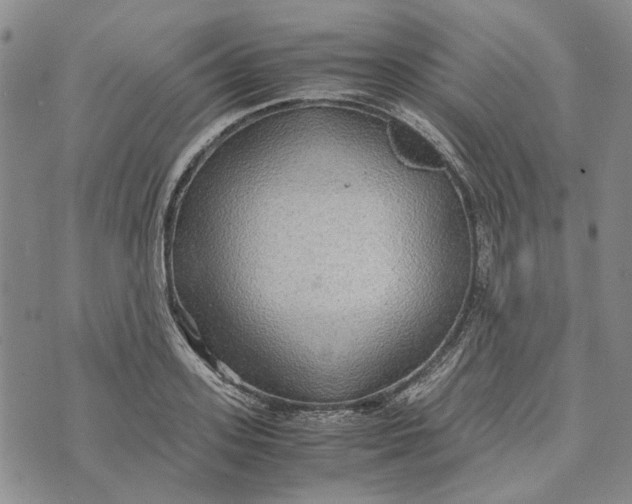 X0000072520939200608041528