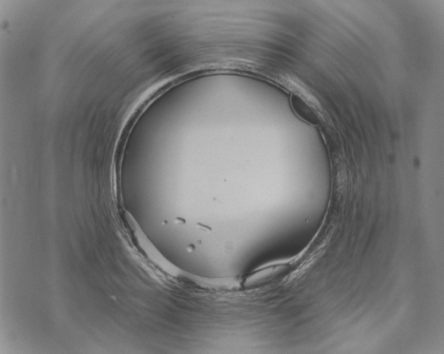 X0000072520940200608041528