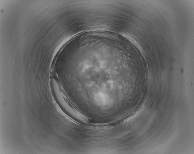 X0000072520941200608041528