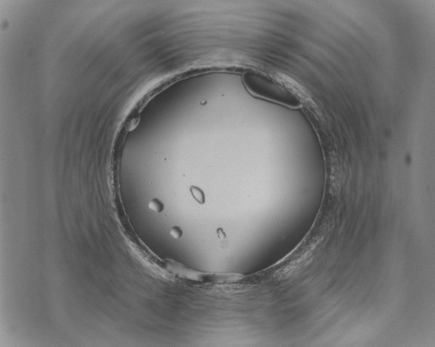 X0000072520942200608041528