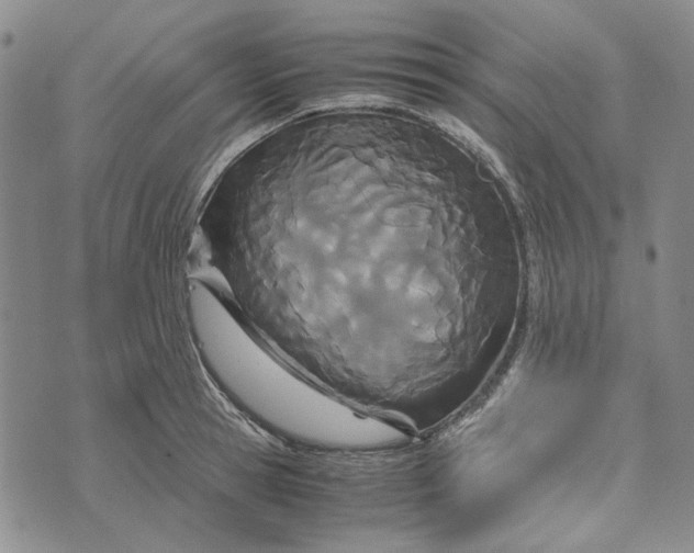 X0000072520945200608041528