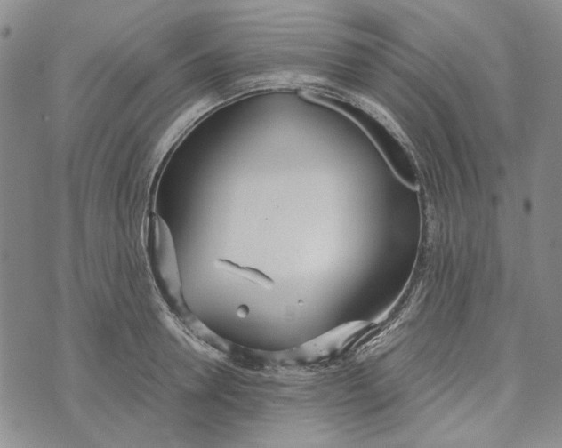 X0000072520946200608041528