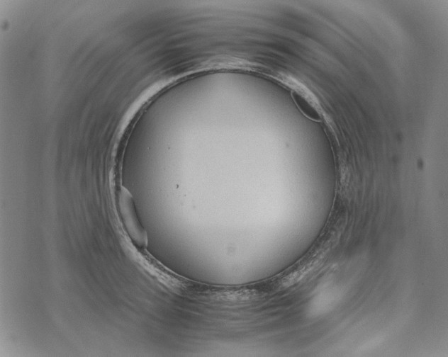 X0000072520947200608041528