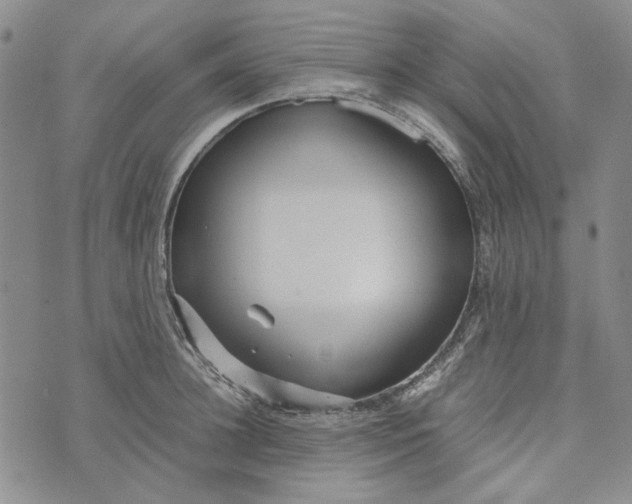 X0000072520948200608041528