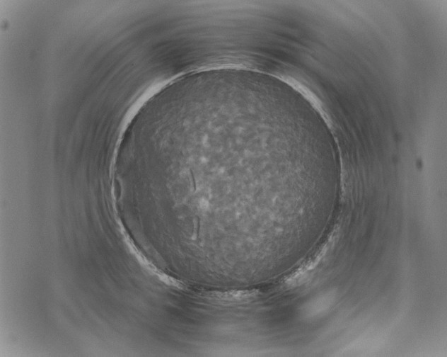 X0000072520949200608041528