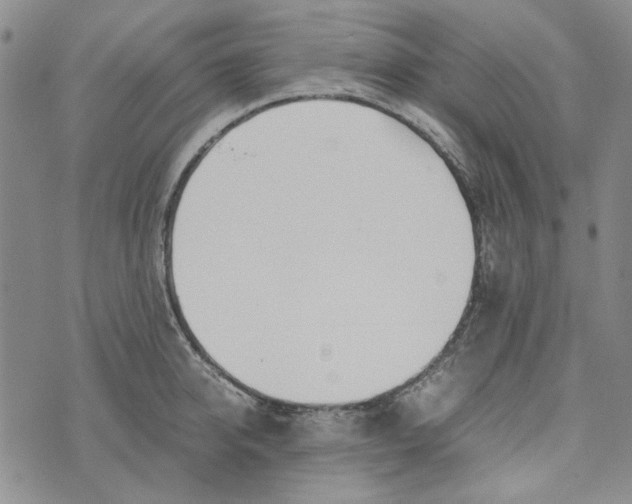 X0000072520950200608041528