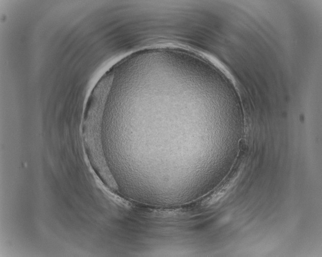 X0000072520951200608041528