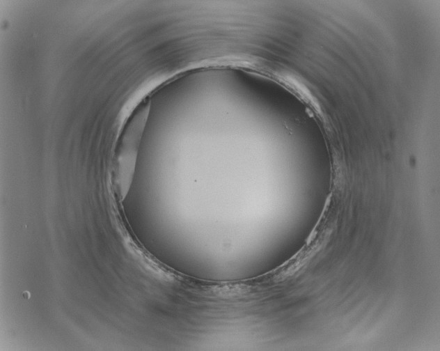 X0000072520952200608041528