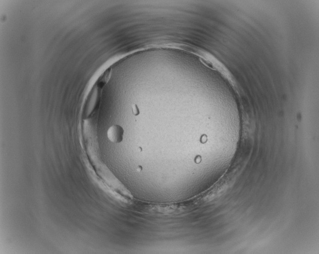 X0000072520955200608041529