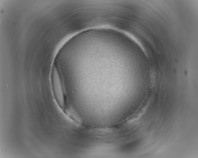 X0000072520959200608041529