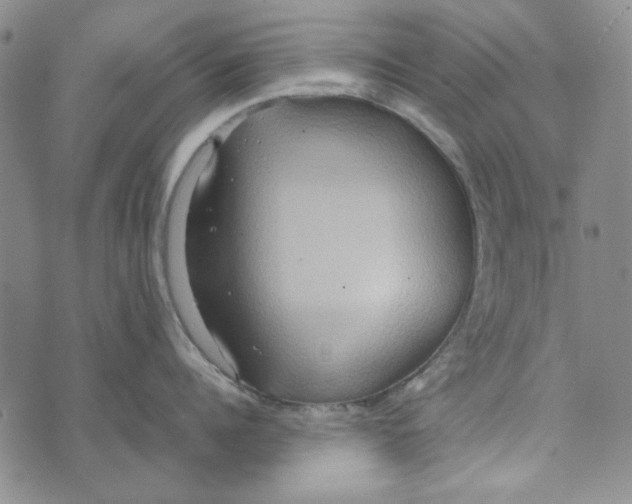 X0000072520960200608041529