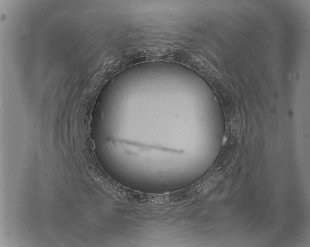 X0000072520961200608041528