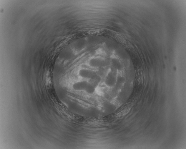 X0000072520962200608041528