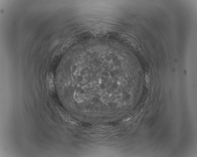 X0000072520963200608041528