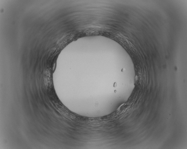 X0000072520964200608041528