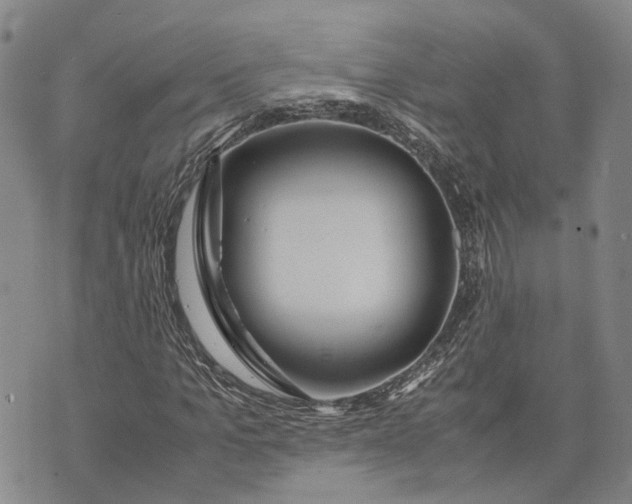 X0000072520965200608041528