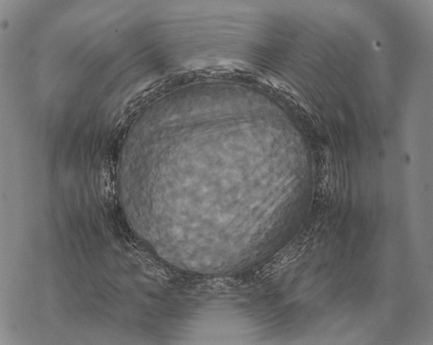 X0000072520966200608041528