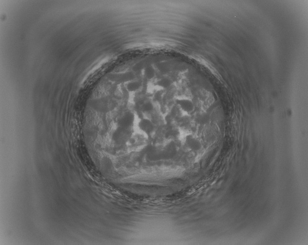 X0000072520967200608041528