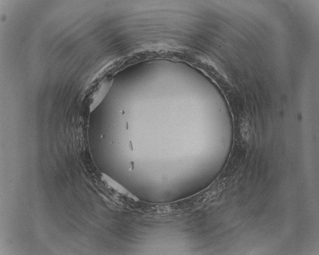 X0000072520968200608041528