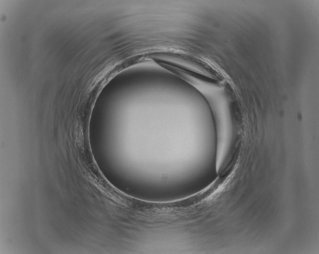 X0000072520969200608041528