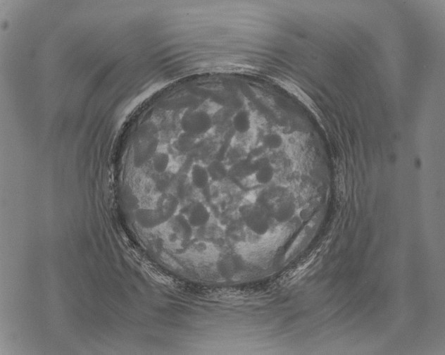 X0000072520971200608041528