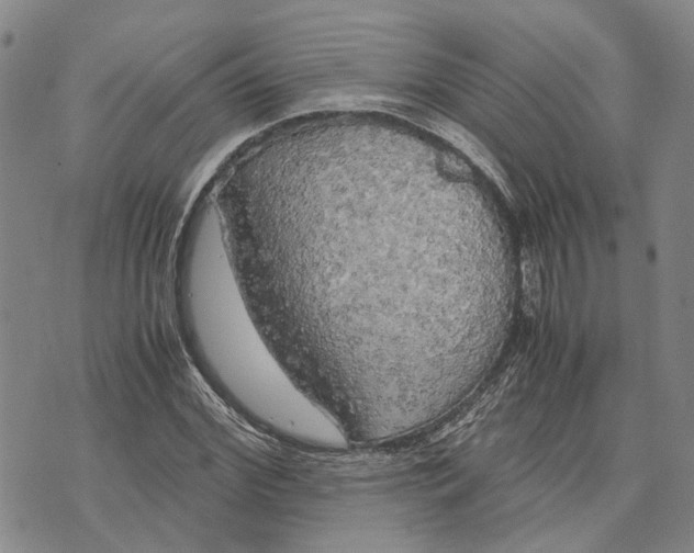 X0000072520972200608041528