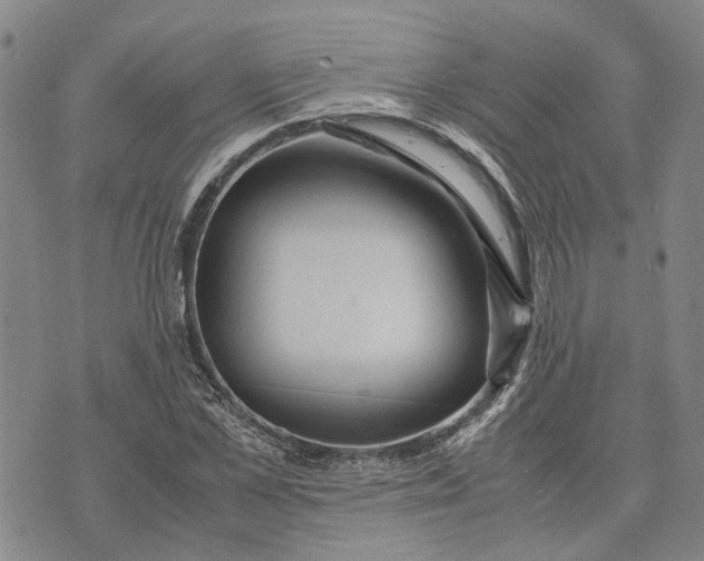 X0000072520973200608041528