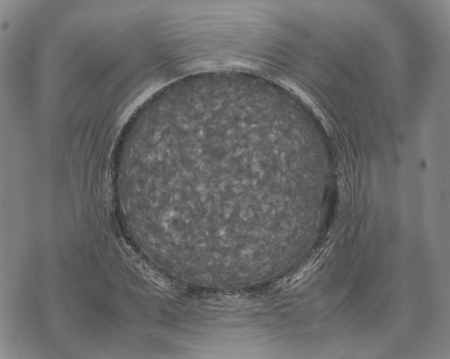 X0000072520975200608041527