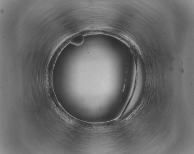 X0000072520976200608041527